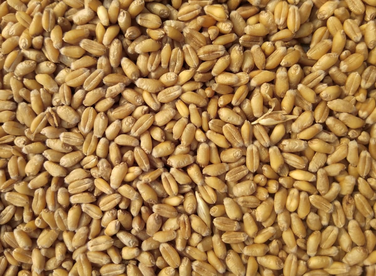 Food ration support #20